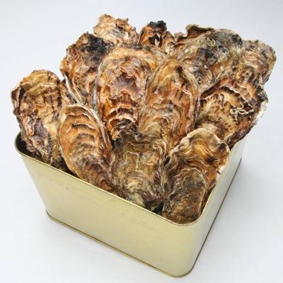 ふるさと納税 七尾市 山口水産の能登かき 殻付き半缶