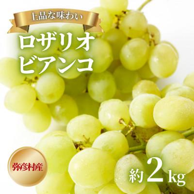 ふるさと納税 弥彦村 [上品な味わい]弥彦村農家のこだわりの逸品「ロザリオビアンコ」 約2kg ぶどう 新潟県 弥彦村