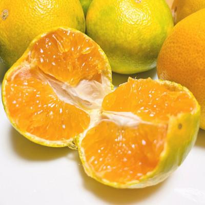 ふるさと納税 湯浅町 《先行受付・2026年10月発送》ご家庭用ゆら早生有田みかん 10kg |  | 02