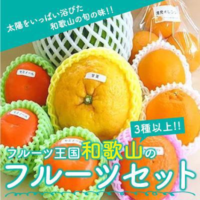 御坊市 ふるさと納税 フルーツ王国和歌山の フルーツセット さとふる 通販 Yahoo ショッピング