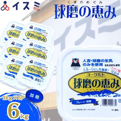 ふるさと納税 人吉市 球磨の恵みヨーグルト(加糖)6kgセット