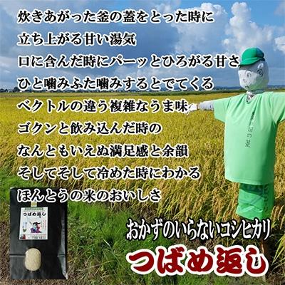 ふるさと納税 燕市 令和6年産新潟県特別栽培米コシヒカリ「つばめ返し」5kg｜y-sf｜04