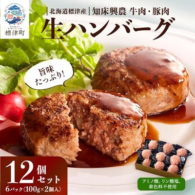 ふるさと納税 標津町 生ハンバーグ12個セット 冷凍 国産 牛肉 豚肉