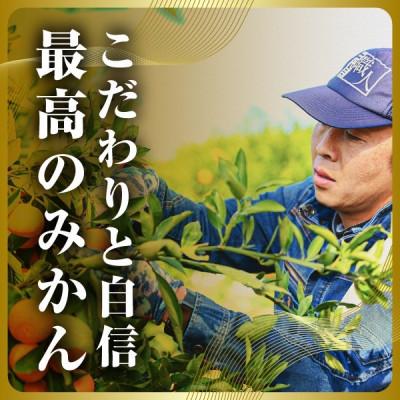 ふるさと納税 八幡浜市 三代目の頂みかんTHEプレミアム【小玉サイズ】5kg【C31-19】