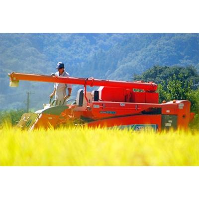 ふるさと納税 韮崎市 武川米農林48号(山梨県韮崎市円野町産)10kg　<精米>｜y-sf｜03