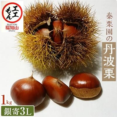 ふるさと納税 福知山市 秦栗園の丹波栗 銀寄3L 1kg 生栗 大粒 10月上旬発送