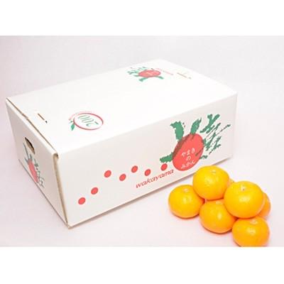 ふるさと納税 海南市 完熟早生みかん　家庭用　サイズおまかせ(S・M・L)　5kg　【和歌山県産　産地直送】