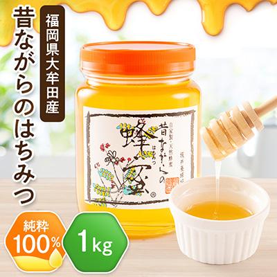 ふるさと納税 大牟田市 坂井養蜂場　昔ながらの蜂蜜　1000g