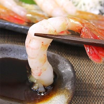 ふるさと納税 いわき市 大ボタンエビ 約1kg(500g×2パック)手からはみ出す大きさ!肉厚でぷりっぷり食感♪|y-sf|03