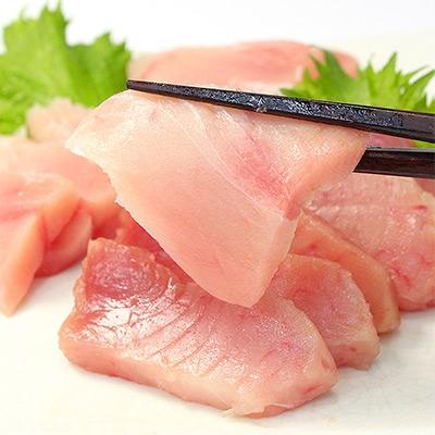 ふるさと納税 いわき市 トロびんちょう鮪 約1kg 解凍レシピ付き