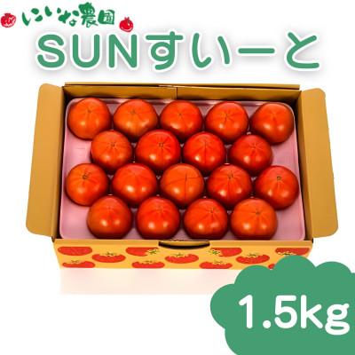 ふるさと納税 日向市 にいな農園ブランド SUNすいーと