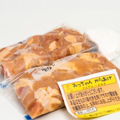 ふるさと納税 日出町 【大分名物】からあげセットA(骨付き骨なし合計2kg)|y-sf|04