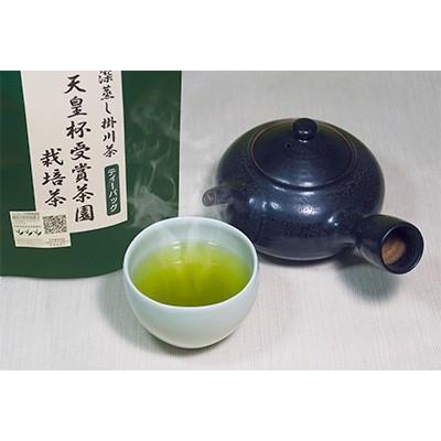 ふるさと納税 掛川市 【深蒸し掛川茶】天皇杯受賞茶園栽培茶ティーバッグ(5gX10個入)10袋|y-sf|02