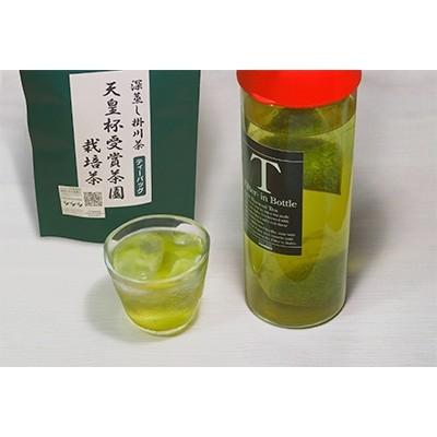 ふるさと納税 掛川市 【深蒸し掛川茶】天皇杯受賞茶園栽培茶ティーバッグ(5gX10個入)10袋|y-sf|03