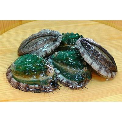 ふるさと納税 美浜町 やわコリ食感紀州活アワビ 19 個入 さとふる 通販 Yahoo ショッピング