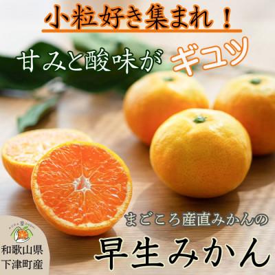 ふるさと納税 海南市 小粒早生みかん5kg (S〜3S混合)和歌山県のまごころ産直みかんより新鮮な果実を産地直送します