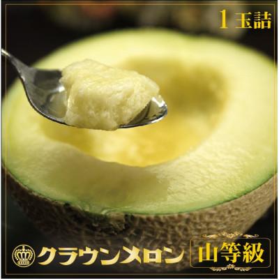 ふるさと納税 掛川市 [一年中食べられる!]クラウンメロン (山等級) 1玉 静岡県産 高級 マスクメロン