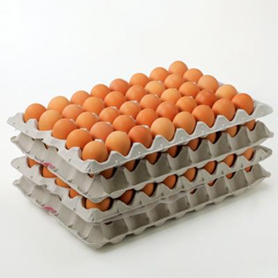 ふるさと納税 榛東村 【業務用サイズ】岩田のおいしい卵小玉160個+破卵保障20個入り