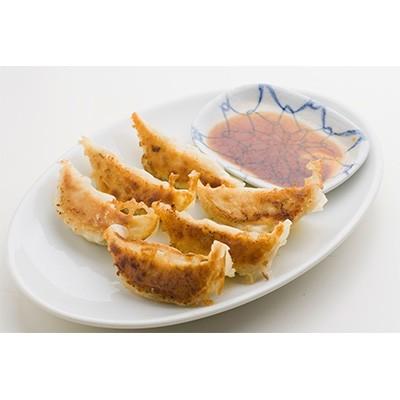 ふるさと納税 宇都宮市 [華] 餃子24個入り