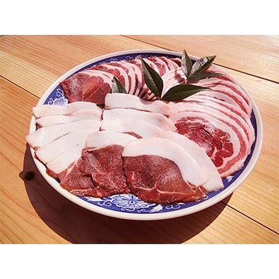 ふるさと納税 唐津市 天然いのしし肉スライス 600g