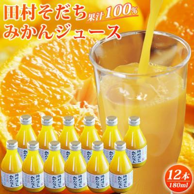 ふるさと納税 広川町 [広川町]果汁100% 田村そだちみかんジュース 180ml×12本