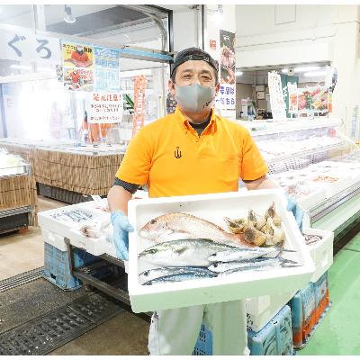 ふるさと納税 越前町 越前港!朝獲れお魚詰め合わせ 5種類