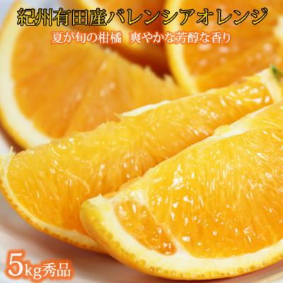 ふるさと納税 広川町 秀品 国産バレンシアオレンジ 5kg