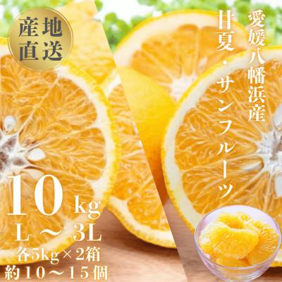 ふるさと納税 八幡浜市 甘夏&amp;サンフルーツ各5kg[D20-10]