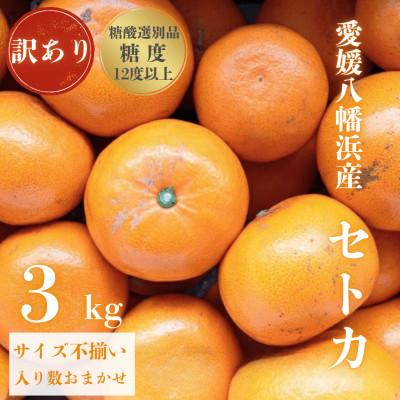 ふるさと納税 みかん 八幡浜市 ＼みかんの大トロ/糖度12.0以上酸1.4以下 糖酸選別品 訳あり 愛媛セトカ3kg[C20-14]