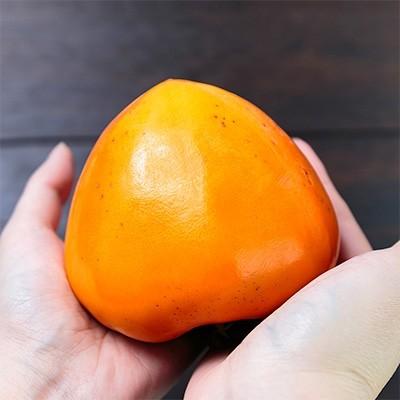 ふるさと納税 八幡浜市 国安さんちの富士柿5kg【C20-21】|y-sf|03
