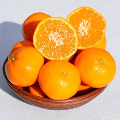 ふるさと納税 みかん 和歌山市 和歌山県産 みかん 秀品 約10kg(箱込み) | 