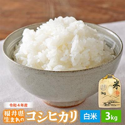ふるさと納税 越前町 令和3年産コシヒカリ 精米 3kg さとふる 通販 Yahoo ショッピング