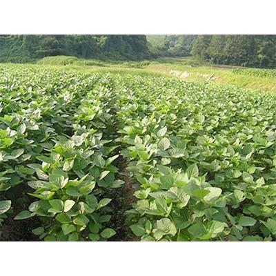 ふるさと納税 尾花沢市 【さとふるで郷土料理体験】山形県尾花沢産 秘伝豆ずんだ餡・棚田もち米せっと|y-sf|03