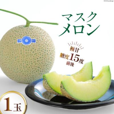 ふるさと納税 島原市 [令和8年11-12月出荷分]堀農園 マスクメロン 1玉