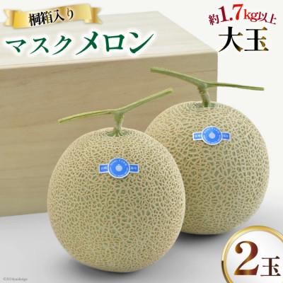ふるさと納税 島原市 [令和8年11-12月出荷分]堀農園 マスクメロン 2玉 特選 大玉 桐箱