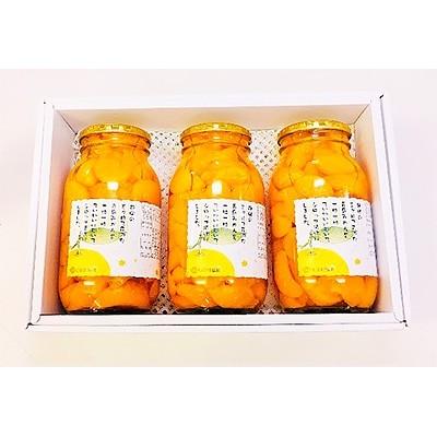 ふるさと納税 浜松市 [三ヶ日みかんシロップ漬け] 3個セット