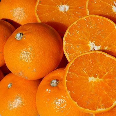 ふるさと納税 宇多津町 [ご家庭用]話題の人気品種!せとか約4.5kgの詰め合わせ