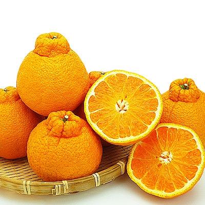 ふるさと納税 宇多津町 香川県産 あま〜いデコポン[不知火]約5kg