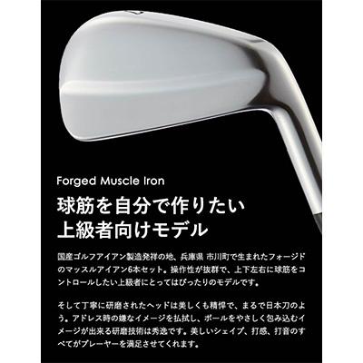 ふるさと納税 市川町 MF-H マッスルバックアイアン #5〜Pw 6本セット