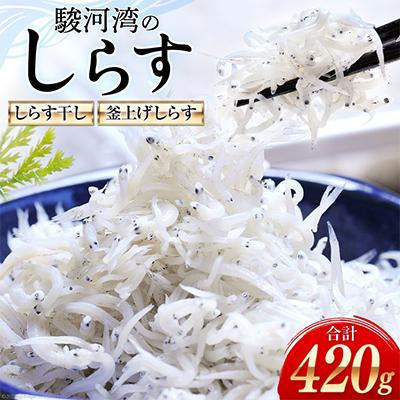 ふるさと納税 吉田町 静岡県駿河湾のしらす干し120g×1・釜上げしらす150g×2