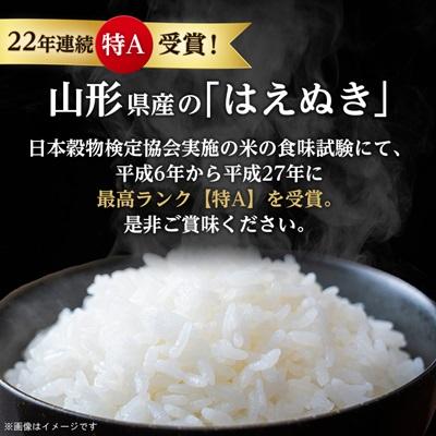 ふるさと納税 新庄市 令和7年産 山形県産 はえぬき 精米5kg×2袋 計10kg