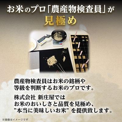 ふるさと納税 新庄市 令和7年産 山形県産 はえぬき 精米5kg×2袋 計10kg