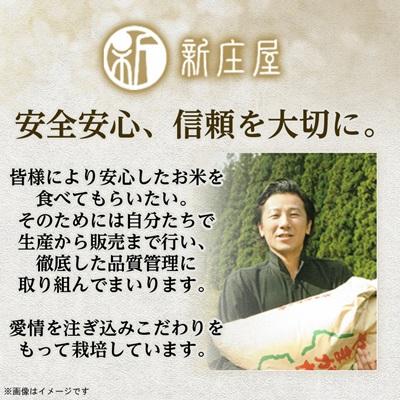 ふるさと納税 新庄市 令和7年産 山形県産 はえぬき 精米5kg×2袋 計10kg