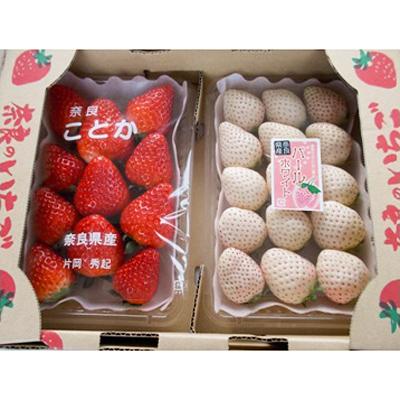 ふるさと納税 河合町 かたおかのいちご「古都華(ことか)」2パック・「パールホワイト」2パック 計4パック食べくらべセット
