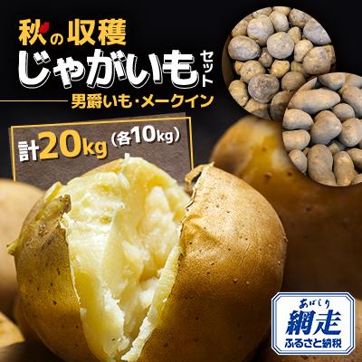 ふるさと納税 網走市 秋の収穫じゃがいもセット[男爵いも・メークイン(各10kg)]合計20kg