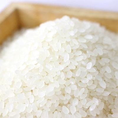 即納 大特価 ふるさと納税 豊岡市 令和3年産 コシヒカリ 白米 10kg 新米 幸せ運ぶ 豊岡市 ふるさと納税 コシヒカリ 米 雑穀 粉類