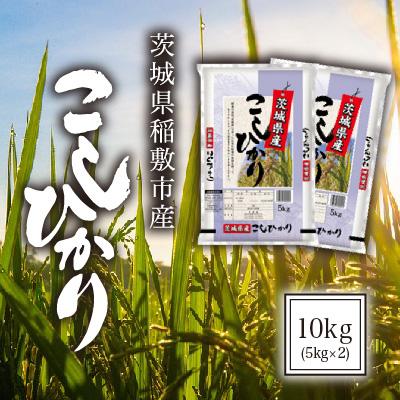 ふるさと納税 稲敷市 [令和5年産]茨城県稲敷市産こしひかり10kg(5kg×2)