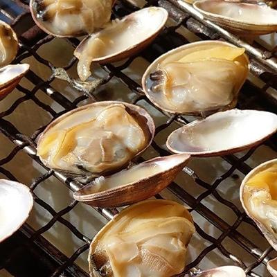 田原市 ふるさと納税 渥美垂下あさり 800g さとふる 通販 Yahoo ショッピング