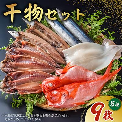 ふるさと納税 南房総市 B 3 こだわり干物セット 真あじ さんま開き いか開き 金目鯛開き さんま丸干し さとふる 通販 Yahoo ショッピング