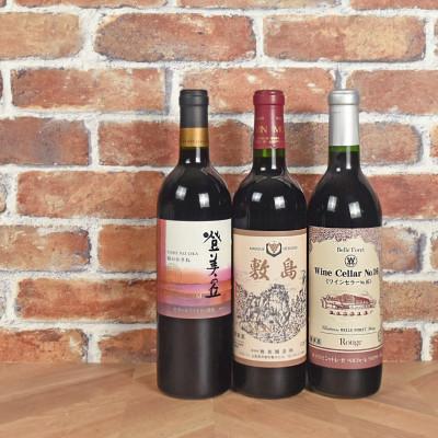 ふるさと納税 甲斐市 甲斐市産 赤ワイン飲み比べ 3本セット(AD-34)